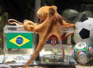 psychic-octopus-predicts-world-cup-winners.w654