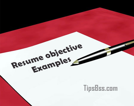 Resume-objective-examples
