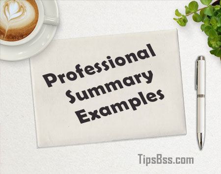 professional summary examples